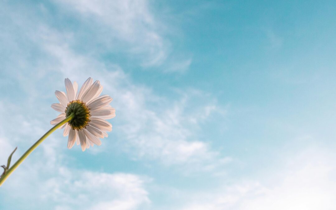 Wishes of Hope Referral Form