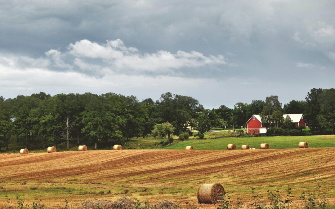 Finding Purpose in Retirement: Ken Nedohin’s Story